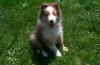 5-15-11 Photos 1.jpg