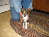 pics 210.jpg