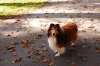 DSC_0128.jpg