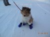 DSCN0565.jpg