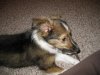 pics 214.jpg