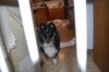 2012Dec04_3621.jpg