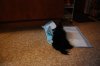 20120405_0722.jpg