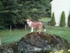 IMG_20130810_062632.jpg