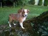 IMG_20130810_062656.jpg