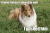 f-Lassie-Help-Timmy-Is-Down-The-Well-6465.jpg