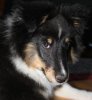 Chip8 x 8.636.jpg