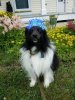 3rd birthday.jpg