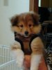 Baker 8 weeks.jpg