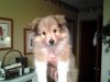 Baker at 9 weeks.jpg
