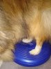 Deska on balance ball.jpg