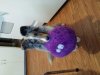 20150322_084456.jpg