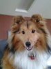 pre groom.jpg