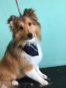post groom.jpg