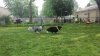 20150704_135952_14904.jpg