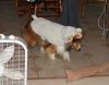 IMG_1266w.jpg
