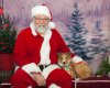 Xmas Aiden 2016 1.jpg