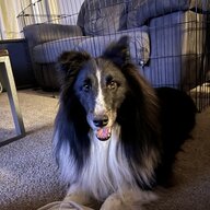 olliesmama24