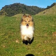 roguskie