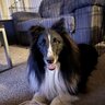 olliesmama24