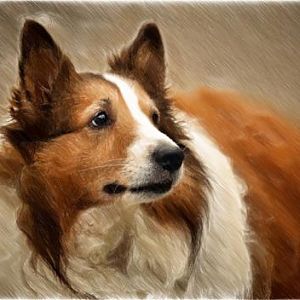 Mally's Pictures
