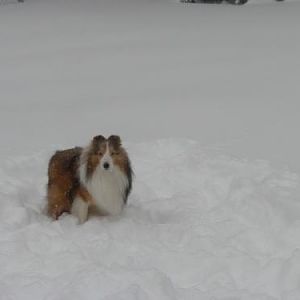 January 2, 2010 snowstorm
