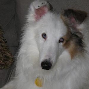 Cooper comes into our lives!