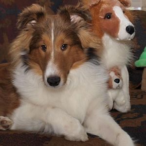 Bacca at 7 months