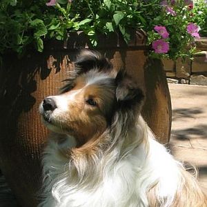 Ellie Mae in May 2011