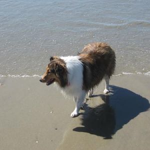 SN West hits the beach!