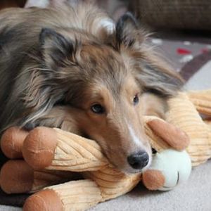 3rd birthday photo shoot