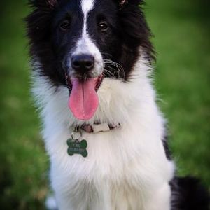 Missy @ 5 months