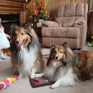 Happy 4th Birthday Brandi & Brady - Feb 10/13