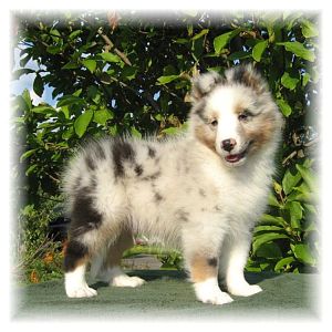 Darcy Baby Pic's