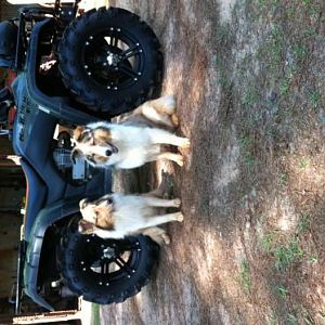 My boys