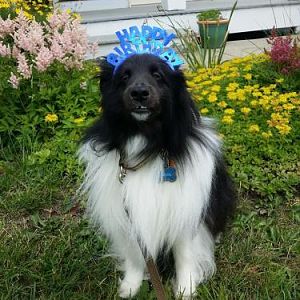 Watson