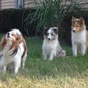 the boys