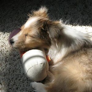 Ellie at 9 weeks