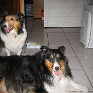 Tru and Her Sister Kendall