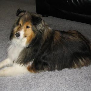 About 10 years old

What a fatso!