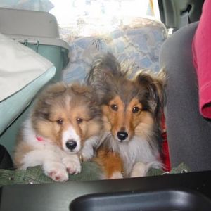 Long ride home