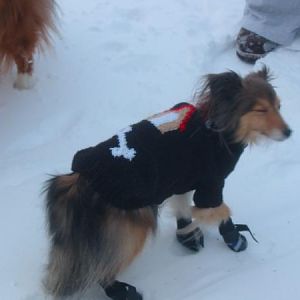walky 002