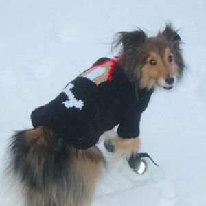 Cool guy !