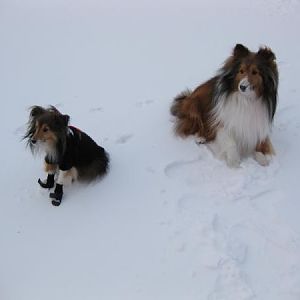 IMG 0590