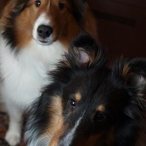 Who's Mom's best boy?!

Or.....where's supper?
