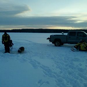 icedogs