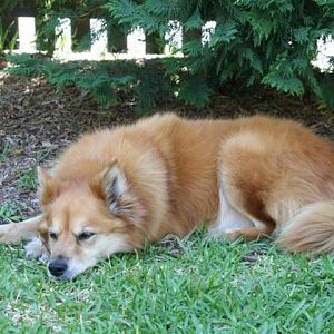 Capers -  tired of Snap on day 1