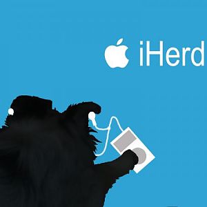 iHerd 1024x768