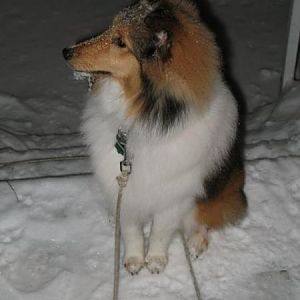 Photo43