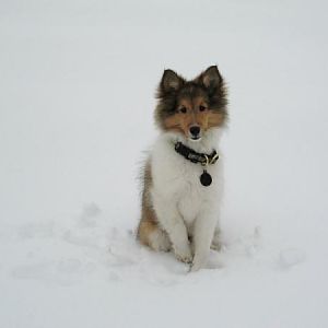 Photo29